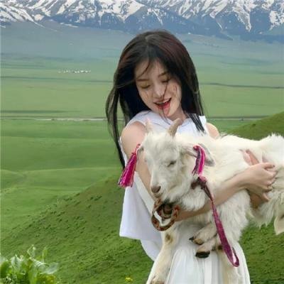 异星入侵：凤凰出山